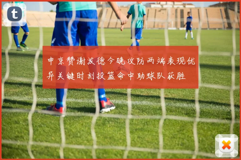 申京赞谢泼德今晚攻防两端表现优异关键时刻投篮命中助球队获胜