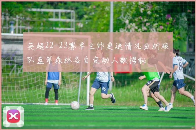 英超22-23赛季主帅更迭情况分析狼队蓝军森林各自变动人数揭秘