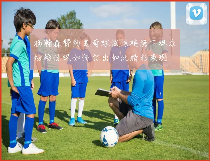 杨瀚森赞约基奇球技惊艳场下观众纷纷惊叹如何打出如此精彩表现