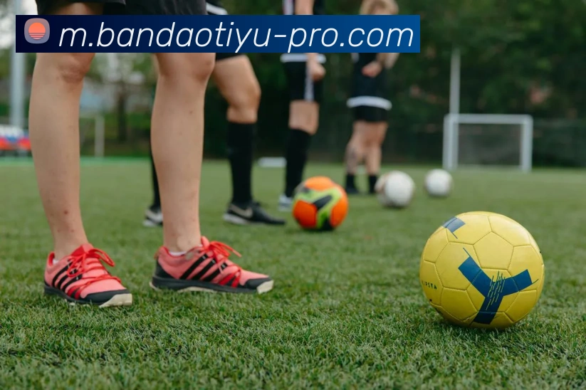 半岛体育平台生态图