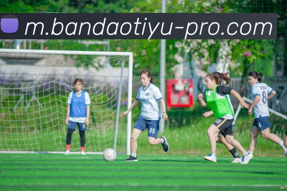 半岛体育全站App